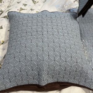 Restoration Hardware Euro Shams.